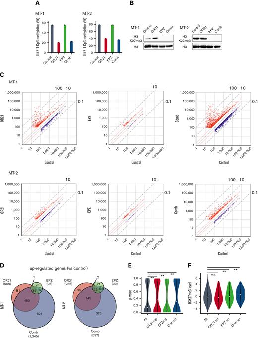 Global epigenetic changes associated with gene expression reprogramming induced by the combination of OR21 and EPZ-6438. MT-1 and MT-2 cells were treated with OR21, EPZ, or OR21 + EPZ (Comb) for 4 days (MT-1: 0.5 μM OR21 and/or 2.5 μM EPZ; MT-2: 0.1 μM OR21 and/or 0.5 μM EPZ). (A) The LINE-1 promoter methylation level was determined using bisulfite pyrosequencing. Data are expressed as the means of 3 independent experiments ± SD. (B) Amounts of H3K27me3 were determined by immunoblotting. (C) Scatter plot showing upregulated (≥twofold) and downregulated genes (≤0.5-fold) (red and blue dots, respectively) compared with the control in global gene expression analysis using microarrays. (D) Venn diagrams showing the number of upregulated genes. (E) β-values in the TSS200 or TSS1500 region in MT-2 cells determined by global methylation analysis using GSE136189. The gray plots show β-values of all genes (n = 125 523); the red plots show β-values of OR21-up genes (n = 2536); the green plots show β-values of EPZ-up genes (n = 786); the blue plots show β-values of com-up genes (n = 180). OR21-up genes are genes upregulated by OR21 monotherapy in MT-2 cells in panel D. EPZ-up genes are genes upregulated by EPZ monotherapy in MT-2 cells in panel D. Com-up genes are genes commonly upregulated by both OR21 and EPZ in MT-2 cells in panel D. Differences between all and each group were tested using Steel test. ∗∗P < .01. (F) H3K27me3 levels (log2) around the promoter region in MT-2 cells obtained from public data (GSE71450). The gray (n = 202 178), red (n = 1759), green (n = 711), and blue (n = 186) plots indicate the same gene groups shown in panel E. Differences between all and each group were tested using Steel test. ∗∗P < .01. (G) Histogram showing the frequency of β-values under each condition (control, OR21, EPZ, Comb) in all GBs in MT-1 cells. (H) Box plots showing the β-values under each condition (control, OR21, EPZ, Comb). Left panels: β-values of hypermethylated GBs (β-value in the control condition >0.6, upper panel) and hypomethylated GBs (β-value in the control condition <0.3, lower panel). Right panels: β-values of hypermethylated (upper panel) or hypomethylated (lower panel) GBs within TSS200 and TSS1500 region in MT-1 cells. (I) Venn diagrams showing the number of upregulated genes increased by combination treatment compared with single treatment; 158 genes were common to MT-1 and MT-2 cells. Twenty-nine genes were expressed in normal T cells and downregulated in cells from patients with ATL compared with normal T cells (analyzed using GSE33615) were selected as candidate genes involved in the synergistic anti-ATL effects. (J) β-values in the TSS200 or TSS1500 region of 29 genes after OR21 and/or EPZ treatment in MT-1 cells. Differences between control and each condition were tested using Steel test. ∗∗P < .01. n.s., not significant; SD, standard deviation.