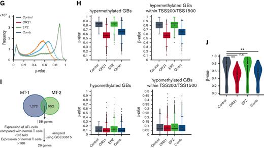 Global epigenetic changes associated with gene expression reprogramming induced by the combination of OR21 and EPZ-6438. MT-1 and MT-2 cells were treated with OR21, EPZ, or OR21 + EPZ (Comb) for 4 days (MT-1: 0.5 μM OR21 and/or 2.5 μM EPZ; MT-2: 0.1 μM OR21 and/or 0.5 μM EPZ). (A) The LINE-1 promoter methylation level was determined using bisulfite pyrosequencing. Data are expressed as the means of 3 independent experiments ± SD. (B) Amounts of H3K27me3 were determined by immunoblotting. (C) Scatter plot showing upregulated (≥twofold) and downregulated genes (≤0.5-fold) (red and blue dots, respectively) compared with the control in global gene expression analysis using microarrays. (D) Venn diagrams showing the number of upregulated genes. (E) β-values in the TSS200 or TSS1500 region in MT-2 cells determined by global methylation analysis using GSE136189. The gray plots show β-values of all genes (n = 125 523); the red plots show β-values of OR21-up genes (n = 2536); the green plots show β-values of EPZ-up genes (n = 786); the blue plots show β-values of com-up genes (n = 180). OR21-up genes are genes upregulated by OR21 monotherapy in MT-2 cells in panel D. EPZ-up genes are genes upregulated by EPZ monotherapy in MT-2 cells in panel D. Com-up genes are genes commonly upregulated by both OR21 and EPZ in MT-2 cells in panel D. Differences between all and each group were tested using Steel test. ∗∗P < .01. (F) H3K27me3 levels (log2) around the promoter region in MT-2 cells obtained from public data (GSE71450). The gray (n = 202 178), red (n = 1759), green (n = 711), and blue (n = 186) plots indicate the same gene groups shown in panel E. Differences between all and each group were tested using Steel test. ∗∗P < .01. (G) Histogram showing the frequency of β-values under each condition (control, OR21, EPZ, Comb) in all GBs in MT-1 cells. (H) Box plots showing the β-values under each condition (control, OR21, EPZ, Comb). Left panels: β-values of hypermethylated GBs (β-value in the control condition >0.6, upper panel) and hypomethylated GBs (β-value in the control condition <0.3, lower panel). Right panels: β-values of hypermethylated (upper panel) or hypomethylated (lower panel) GBs within TSS200 and TSS1500 region in MT-1 cells. (I) Venn diagrams showing the number of upregulated genes increased by combination treatment compared with single treatment; 158 genes were common to MT-1 and MT-2 cells. Twenty-nine genes were expressed in normal T cells and downregulated in cells from patients with ATL compared with normal T cells (analyzed using GSE33615) were selected as candidate genes involved in the synergistic anti-ATL effects. (J) β-values in the TSS200 or TSS1500 region of 29 genes after OR21 and/or EPZ treatment in MT-1 cells. Differences between control and each condition were tested using Steel test. ∗∗P < .01. n.s., not significant; SD, standard deviation.
