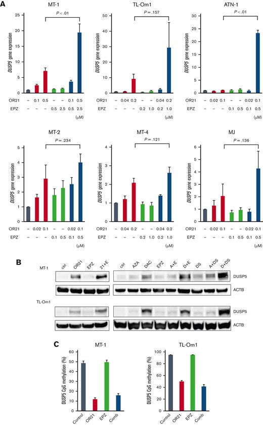 Induction of DUSP5 by the combination of DNA demethylating agents and EZH2 inhibitors. (A) DUSP5 gene expression in HTLV-1–infected cell lines and ATL cell lines treated with the indicated compounds. Differences were tested using the Student t test. (B) DUSP5 protein amounts were determined by western blotting after treatment with the indicated compounds: 0.5 μM OR21, 2.5 μM EPZ, 0.5 μM AZA, 0.5 μM DAC, and 0.25 μM DS for MT-1; 0.1 μM OR21, 0.5 μM EPZ, 0.1 μM AZA, 0.1 μM DAC, and 0.05 μM DS for TL-Om1 cells. (C) DNA methylation levels around the DUSP5 promoter region (at TSS1500-shore as indicated in Figure 3G) of cells treated with OR21 and/or EPZ.