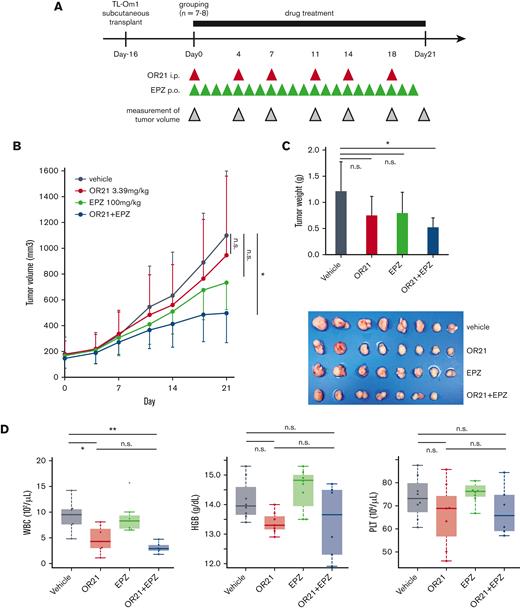 Anti-ATL effect of OR21 and EPZ in a TL-Om1 xenograft mouse model. (A) Experimental protocol for the establishment of the TL-Om1 xenograft mouse model and treatment with OR21 and/or EPZ. NOG mice inoculated with TL-Om1 cells subcutaneously were treated with vehicle (1% dimethyl sulfoxide, intraperitoneally, twice per week and 0.5% CMC-Na + 0.1% Tween-80 solution, oral gavage, daily, n = 8), OR21 (3.39 mg/kg, intraperitoneally, twice a week, n = 8), EPZ (100 mg/kg, oral gavage, daily, n = 8), or OR21 + EPZ (3.39 mg/kg OR21 and 100 mg/kg EPZ, n = 7) as indicated by the red and green arrowheads. (B-C) Mean tumor volume (B) and weight (C) in mice. Differences between vehicle and each treatment group were tested using Dunnett test. (D) Concentration of hemoglobin (HGB) and complete blood counts, including white blood cells (WBC) and platelets (PLT), from mice sacrificed at 21 days after the first treatment. Differences between each group were tested using Tukey test. ∗P < .05, ∗∗P < .01. n.s., not significant.