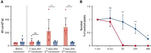 MZB cell-mediated platelet alloimmune response relies on CD4+ T cells. (A) BALB/C mice were treated 4 and 2 days before each transfusion with an immunodepleting antibody against CD4+ T cells or their respective isotype-matched controls. Anti-H2b IgG antibody production was evaluated 7 days after each transfusion by flow cytometry in CD4+ T cell immunodepleted (blue bars) BALB/C mice and in control mice that received an isotype control (red bars). Results are presented as the mean fluorescence intensity of Alexa-488 GaM IgG antibodies bound to H2b platelets (MFI ± SEM, n = 8). (B) Alloimmunized BALB/C mice were injected with 2.108 Oregon green CFDA-SE-labeled platelets from C57BL/6J mice. The kinetics of elimination of transfused platelets were determined from the percentage of Oregon green-positive platelets among 10 000 RAM.1+ platelets in CD4+ T cell depleted (blue line) and mice that received isotype control (red line) at each time point (± SEM; ∗∗P < .01; ∗∗∗P < .001; 2-way ANOVA; n = 7). ANOVA, analysis of variance; SEM, standard error of the mean.