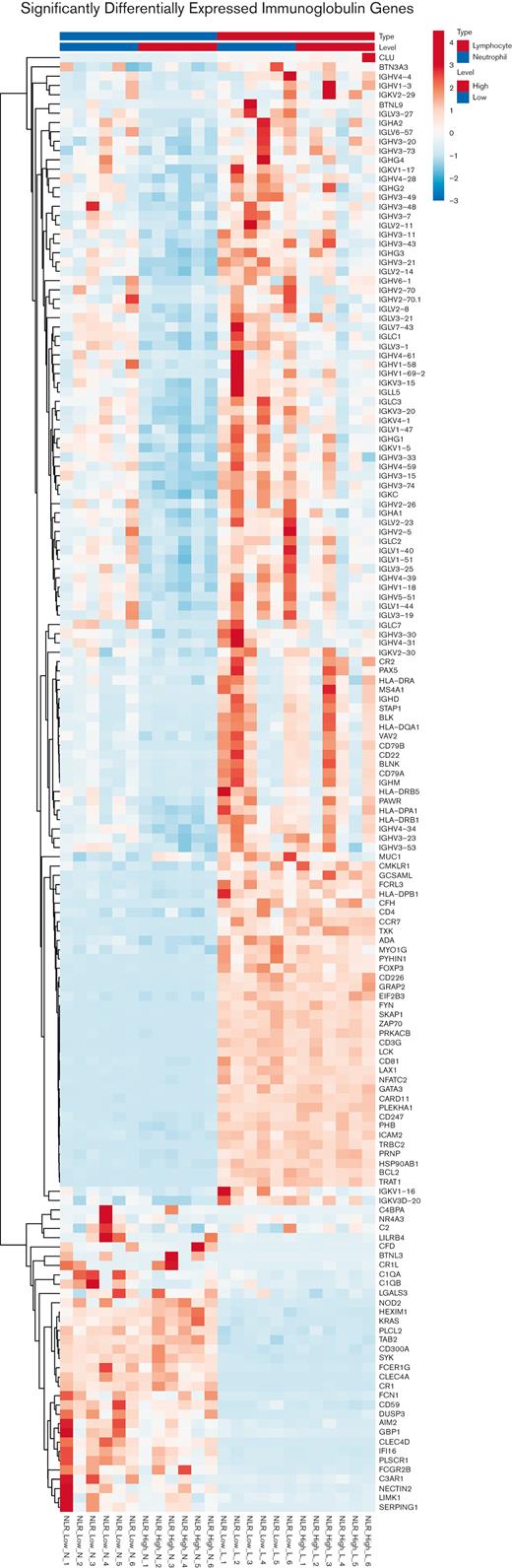 Heat map of significantly differentially expressed genes in the immunoglobulin gene set in neutrophils (left) and lymphocytes (right). The genes listed on the right of each heat map are the members of the immunoglobulin gene set. The RNA is from neutrophils or lymphocytes collected from patients with NLR that were high (NLR_High) or low (NLR_Low). There were 6 patients within each category. Six individual samples from NLR_High are compared with 6 individual samples from NLR_Low from both neutrophils and lymphocytes. Please notice the "blue" column in the upper half on the left for genes expressed in neutrophils with "high" NLR. Blue=reduced level of expression; red=high level of expression.