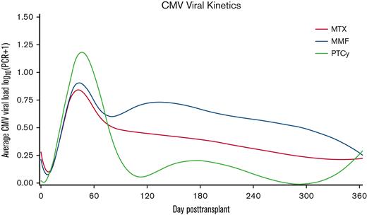 CMV viral kinetics according to GVHD prophylaxis after HLA-matched PBSC transplantation. A spline curve fitted over the average CMV viral load in log10 scale stratified by GVHD prophylaxis shows early and late CMV viral kinetics within the first year posttransplant.