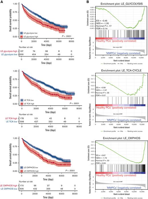 Expression of FOXO-repressed metabolic genes predicts poor survival in patients with MM. (A) Kaplan-Meier univariate analysis for the OS of k-means clustering–defined groups of patients with MM (776 patients in total). Patients were clustered based on the FOXO-regulated LE gene sets; LE glycolysis, LE TCA cycle, or LE OXPHOS, which were derived by combining the LE genes from GSEAs performed for several glycolysis, TCA cycle, or OXPHOS gene sets (Supplemental Table 1). Groups were defined as ‘high’ (red lines) or ‘low’ (blue lines) expressing groups. Numbers of patients at risk are tabulated below. (B) GSEA enrichment plots show enrichment of the FOXO-regulated LE glycolysis, LE TCA cycle, and LE OXPHOS gene sets (supplemental Table 1) in MM plasma cells from newly diagnosed patients (MMPCs, n = 75) compared with plasma cells from healthy donors (n = 15). FDR, ES, NES, and P-value are depicted in the plots.
