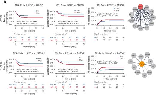 Association of etoposide genes from CRISPR screen with outcome in pediatric AML. (A) High expression of EtoRGs: PRKDC and RAD54L2 showed unfavorable EFS, OS, and RR in pediatric AML. (B) High expression of EtoSGs: TKT with favorable EFS, OS, and RR; RPE with better EFS and OS; CSK1B with favorable OS; and SKP2 with lower RR in pediatric patients with AML treated in AML02 trial. Corresponding STRING networks showed interactions with respective genes with other genes. (∗, ∗∗, ∗∗∗ indicate significant terms at the P < .05, P < .01, and P < .001 statistical levels, respectively). Gene expression association analysis was performed with (referred as Risk adj) or without adjusting (referred as Unadj) for the initial risk group assignment.