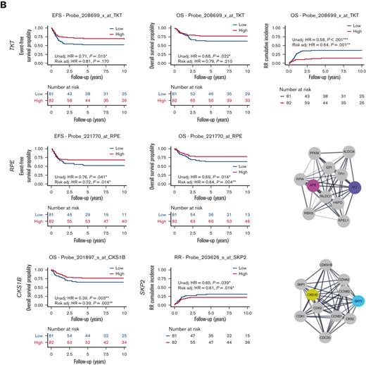 Association of etoposide genes from CRISPR screen with outcome in pediatric AML. (A) High expression of EtoRGs: PRKDC and RAD54L2 showed unfavorable EFS, OS, and RR in pediatric AML. (B) High expression of EtoSGs: TKT with favorable EFS, OS, and RR; RPE with better EFS and OS; CSK1B with favorable OS; and SKP2 with lower RR in pediatric patients with AML treated in AML02 trial. Corresponding STRING networks showed interactions with respective genes with other genes. (∗, ∗∗, ∗∗∗ indicate significant terms at the P < .05, P < .01, and P < .001 statistical levels, respectively). Gene expression association analysis was performed with (referred as Risk adj) or without adjusting (referred as Unadj) for the initial risk group assignment.