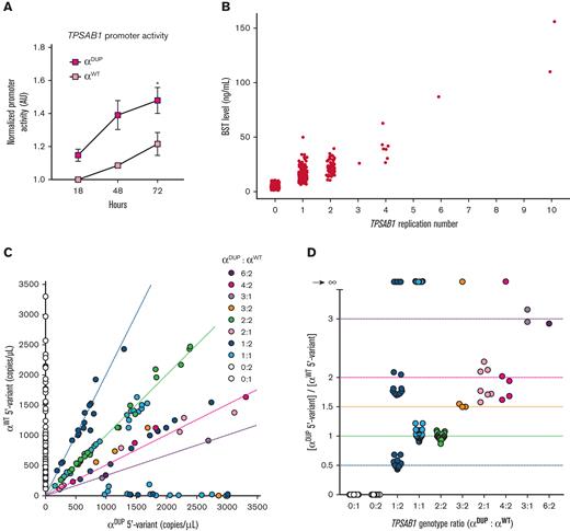 The expanded promoter at duplicated TPSAB1 is conserved and has increased basal activity. (A) Normalized fluorescent reporter activity in unstimulated MonoMac-6 cells transfected with promoters cloned from endogenous (αWT) or replicated (αDUP) TPSAB1 loci. (B) BST from individuals grouped by TPSAB1 replication number. (C-D) Relative allelic frequency (C) and ratios (D) of αWT-tryptase (y-axis) and αDUP-tryptase (x-axis) associated 5′ variants determined by ddPCR. Dashed lines indicate predicted αWT:αDUP ratios by genotype. ∗P < .05.