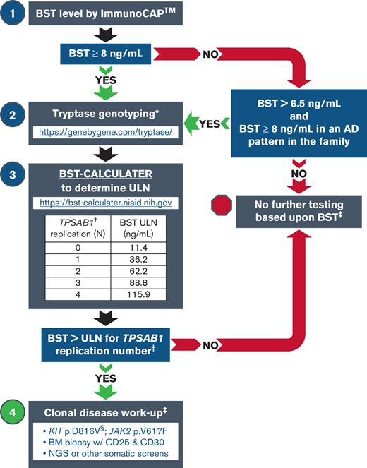 Tryptase genotyping in the evaluation of patients with elevated BST. Stepwise approach to a patient workup based on BST level and tryptase genotype using the BST CALCULATER. Myeloid neoplasms often exist in the absence of elevated BST; this algorithm is intended only to aid in the correct interpretation of elevated BST when other indications for workup are absent/nonspecific. AD, autosomal dominant; NGS, next-generation sequencing; ULN, upper limit of normal. ∗At the time of this publication, this is the only Clinical Laboratory Improvement Amendments/College of American Pathologists–certified laboratory performing tryptase genotyping. †Only α-tryptase–encoding TPSAB1 replications are associated with elevated BST and require correction. ‡BST elevation is not a requirement for any clonal neoplasm, and evaluation should be guided by clinical presentation and findings. §Allele-specific PCR or ddPCR should be used because of low allelic frequency.
