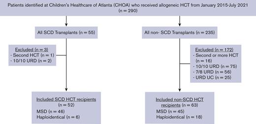 Patient selection schema. All MSD and haploidentical first allogeneic HCTs were included in the study. UC, umbilical cord; URD, unrelated donor.