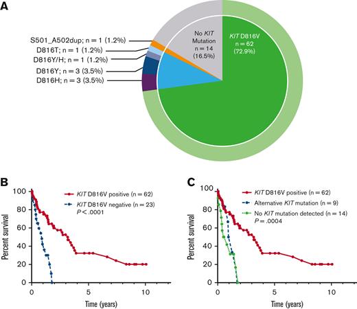 KIT mutations in patients with MCL. (A) Relative frequency distribution of KIT mutations in 85 patients with MCL. (B) Kaplan-Meier estimates of OS stratified by KIT D816V mutation status; and (C) stratified by KIT D816V positivity vs alternative KIT mutation positivity vs no detectable KIT mutations.