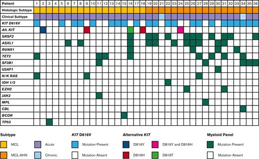 Mutational profile of patients with MCL. Mutational profiles for 36 patients with MCL, stratified by diagnosis of MCL vs MCL-AHN (2nd row). Each column represents an individual patient.