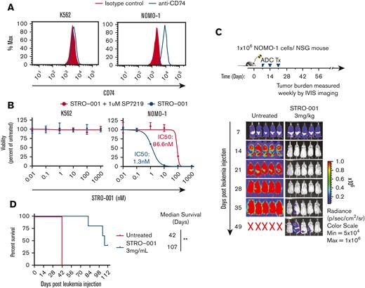 STRO-001 therapy demonstrates preclinical efficacy against CD74 expressing NOMO-1 AML cell line and primary AML cells. (A) Flow cytometric analysis of CD74 cell surface expression on K562 and NOMO-1 cell lines. (B) In vitro cytotoxicity of STRO-001 against K562 and NOMO-1 cells. Cells were treated with increasing doses of STRO-001 alone (blue) or excess of naked antibody SP7219 (1 uM, red). After 3 days of continuous exposure, viability was assessed by Cell Titer-Glo assay. Data are normalized to untreated controls. Error bars denote standard deviation from 2 technical replicates at each dose. Experiments were repeated at least twice (supplemental Figure 5). (C) Top, experimental schema evaluating STRO-001 in vivo efficacy in NOMO-1 xenograft model. Bottom, leukemia burden measured by bioluminescence (IVIS) imaging in NOMO-1 xenograft mice untreated (left) or treated with STRO-001 at 3 mg/kg weekly for 3 weeks (right). Shown are representative timepoints. N = 5 mice per group. X denotes death. (D) Kaplan-Meier survival curves of NOMO-1 xenografts untreated or treated with STRO-001. N = 5 per group. Statistical differences in survival were evaluated using Log-rank Mantel-Cox. (E) Flow cytometric analysis of CD74- (AML-4) and CD74+ AML patient specimens (AML-5-7). (F) In vitro cytotoxicity of STRO-001 primary AML specimens. Cells were treated as described above. Error bars denote standard deviation from 3 technical replicates at each dose. (G) Experimental design to assess in vivo activity of STRO-001 against a PDX model transplanted with a primary AML sample, AML-7. Peripheral blood was obtained every other week following the last dose of STRO-001, bone marrow aspirate was obtained 4 and 13 weeks after transplant. (H) Percent AML cells in the bone marrow at indicated weeks following leukemia injection determined by flow cytometry. (I) Kaplan-Meier survival curves of PDX mice untreated (n = 3) or treated with STRO-001 (n = 3). Statistical differences in survival were evaluated using Log-rank Mantel-Cox.