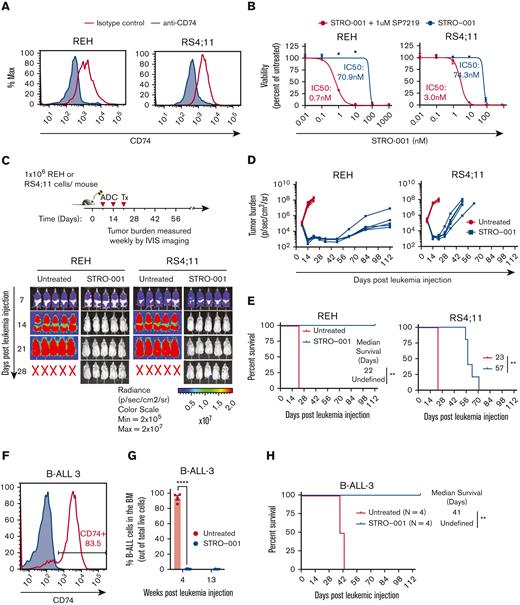 STRO-001 therapy demonstrates preclinical efficacy against CD74-positive B-ALL cell lines and primary B-ALL. (A) Flow cytometric analysis of CD74 cell surface expression on REH and RS4;11 B-ALL cell lines. (B) In vitro cytotoxicity of STRO-001 against REH and RS4;11 cells. Experiments were repeated twice (supplemental Figure 4). Data are normalized to untreated controls. Error bars denote standard deviation from 2 or 3 technical replicates at each dose. (C) Top, experimental schema evaluating STRO-001 in vivo efficacy in REH and RS4;11 xenograft models. Bottom, representative images of leukemia burden detected by IVIS imaging in REH and RS4;11 xenograft mice untreated or treated with STRO-001 at 3 mg/kg weekly for 3 weeks. N = 5 mice per group. X indicates death. (D) Quantification of radiance shown in C. N = 5 mice per group. (E) Kaplan-Meier survival curves of REH and RS4;11 xenograft mice untreated or treated with STRO-001. N = 5 per group. Statistical differences in survival were assessed by Log-rank Mantel-Cox test. (F) Flow cytometric analysis of CD74 expression in patient specimen B-ALL-3. (G) Percent B-ALL-3 cells (huCD19+) in the bone marrow at indicated weeks following leukemia injection (H) Kaplan-Meier survival curves of PDX B-ALL-3 mice untreated or treated with STRO-001. Data are presented as mean +/− SEM. Statistical differences were determined by unpaired, 2-tailed Student t test. Details of the B-ALL-3 PDX studies (8.5e6 cells/mouse; n = 4 for untreated group, n = 7 for STRO-001-treated group).
