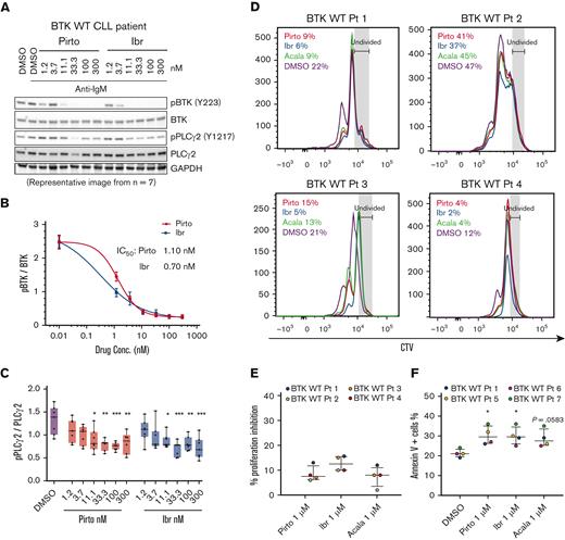 Pirtobrutinib reduced BCR signaling and induced apoptosis in cells from patients with BTK WT CLL. (A-C) BTK WT CLL cells were treated with either pirtobrutinib or ibrutinib with a dose range of 1.2 to 300 nM. Data shown are representative results from n = 7. (A) Representative western blot. (B) BTK Y223 phosphorylation was normalized to total BTK and IC50 values were calculated using a 4-parameter fit in GraphPad Prism 9.3 software. (C) Densitometry plots for phospho-PLCγ2 (Y1217), normalized to total PLCγ2. Boxes represent median values with the first and third quartiles; whiskers represent the maximum and minimum values. P values shown are for drug vs dimethyl sulfoxide (control). ∗P ≤ .05, ∗∗P ≤ .01, and ∗∗∗P ≤ .001 by mixed effect analysis of variance, Holm-Šidák test. (D-E) CellTrace Violet–labeled BTK WT CLL cells from patients with CLL were incubated with growth stimulants as indicated in “Methods” and treated with 1 μM of either pirtobrutinib, ibrutinib, or acalabrutinib, and cell proliferation was assayed by flow cytometry after a 10-day culture. (D) Histograms showing CTV profiles of 4 patients with BTK WT. Divided cells as a percent of total cells are automatically calculated by the FlowJo software and included in the upper left of each panel. (E) Inhibition of CLL cell proliferation by the indicated drug treatment, normalized to dimethyl sulfoxide, based on data in panel D. (F) Cells from patients with BTK WT CLL were treated with 1 μM of either pirtobrutinib, ibrutinib, or acalabrutinib for 48 hours. Apoptosis was measured with Annexin V propidium iodide staining. Statistics were performed by one-way analysis of variance with Dunnett posttest; ∗P ≤ .05. Graphs generated using GraphPad Prism software version 9.3. The data points for panels E and F are color coded by patient. Acala, acalabrutinib; Conc., concentration; CTV, CellTrace Violet; DMSO, dimethyl sulfoxide; GAPDH, glyceraldehyde-3-phosphate dehydrogenase; Ibr, ibrutinib; IgM, immunoglobulin M; Pirto, pirtobrutinib; Pt, patient.