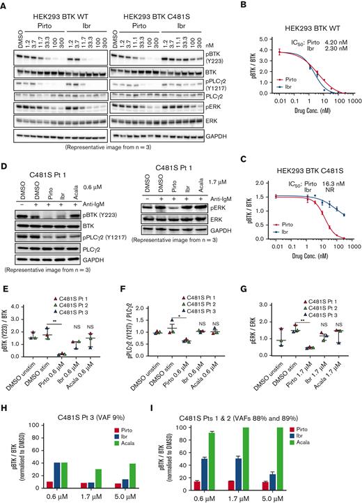 Pirtobrutinib inhibits BCR signaling in a BTK C481S in vitro model and in cells from patients with BTK C481S CLL. (A-C) HEK293 BTK WT and HEK293 BTK C481S cells were treated with either pirtobrutinib or ibrutinib with a dose range of 1.2 to 300 nM for 2 hours. (A) Representative western blot image from 3 independent experiments. BTK Y223 phosphorylation was normalized to total BTK in HEK293 BTK WT (B) and HEK293 BTK C481S (C) cells. IC50 values were calculated using a 4-parameter fit in GraphPad Prism software version 9.3. (D-G) Cells from patients with BTK C481S CLL (n = 3) were pretreated with indicated dosages of pirtobrutinib, ibrutinib, or acalabrutinib for 1 hour followed by anti-IgM stimulation (10 μg/mL) for 30 minutes. (D) Representative western blot images. Quantification of phospho-BTK (E), phospho-PLCγ2 (F), and phospho-ERK (G). The data points are color coded by patient. P values shown are for drug vs DMSO stimulated (ie, IgM stimulated). Differences assessed using linear mixed effect models. ∗P ≤ .05 and ∗∗P ≤ .01. (H,I) Densitometry plots for phospho-BTK normalized to total BTK. Graphs generated using GraphPad Prism software version 9.3. VAF, variant allele frequency.