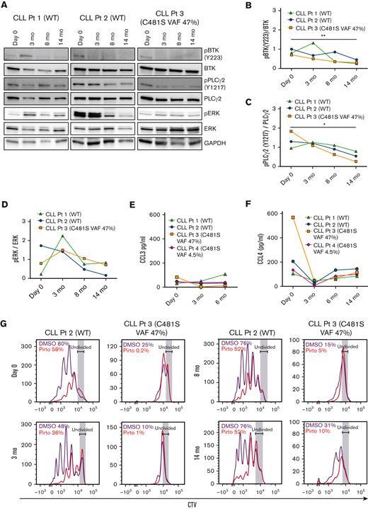 Pirtobrutinib inhibits BCR signaling and cytokine secretion and proliferation in responding cells from patients with BTK WT and C481S CLL. (A-D) Proteins were evaluated in defrosted lysates, without in vitro treatment, from cells from 2 patients with BTK WT and 1 patient with BTK C481S CLL, and levels of phospho-BTK, phospho-PLCγ2, and phospho-ERK were analyzed by immunoblotting. (A) Western blots for each patient. (B-D) Densitometry plots for phospho-BTK, phospho-PLCγ2, and phospho-ERK normalized to the corresponding total protein. Differences assessed by analysis of variance followed by Tukey test. (E-F) Plasma CCL3 and CCL4 levels measured by Luminex multiplex assay and enzyme-linked immunosorbent assay, respectively. Graphs generated using GraphPad Prism software version 9.3. Data points in panels B-F are color coded by patient. (G) CellTrace Violet–labeled BTK WT and BTK C481S CLL cells were cocultured with HS-5 green fluorescent protein stroma cells, incubated with growth stimulants as indicated in “Methods” and treated in vitro with 1 μM pirtobrutinib. Cell proliferation was assayed by flow cytometry after a 10-day culture. Divided cells as a percent of total cells are automatically calculated by the FlowJo software and included in the upper left of each panel. ∗P ≤ .05 and ∗∗P ≤ .01.