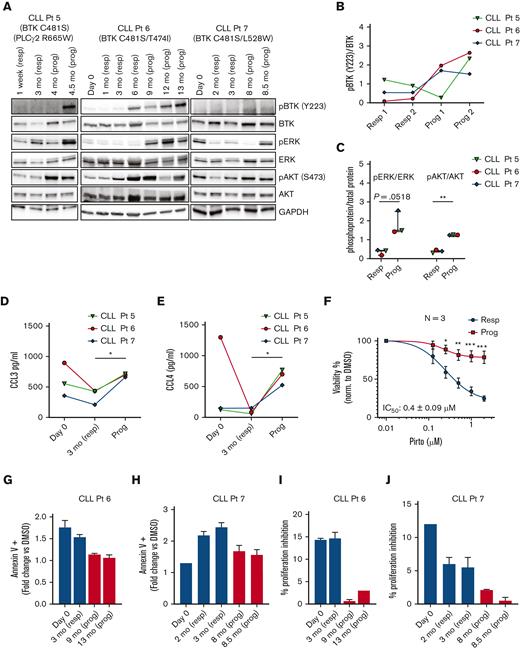 CLL cells from patients with disease progression on pirtobrutinib show increased BCR signaling, increased cytokine secretion, reduced inhibition of proliferation, reduced in vitro cell death, and increased cell viability. (A-J) Primary CLL cells obtained at baseline (day 0), responding, and progression time points during pirtobrutinib treatment were used in the analysis. (A) Western blots of lysates from CLL cells of 3 patients whose disease progressed, looking at total and phospho-BTK, total and phospho-ERK, total and phospho-AKT, and GAPDH without additional in vitro drug treatment. (B-C) Densitometry plots for phospho-BTK, phospho-ERK, and phospho-AKT normalized to the corresponding total protein. (D-E) Plasma CCL3 and CCL4 levels measured by Luminex multiplex assay and enzyme-linked immunosorbent assay, respectively. Data points in panels B to E are color coded by patient. (F) CLL cells at responding and progression time points for each of the 3 patients were incubated with indicated doses of pirtobrutinib for 48 hours and effect on viability was analyzed using CellTitre-Glo reagent. Data reported as mean ± standard error of the mean from n = 3. (G-J) Cells were cocultured with HS-5 green fluorescent protein stroma cells. (G-H) Apoptosis was induced by 1 μM pirtobrutinib for 48 hours and analyzed by flow cytometry. (I-J) CTV-labeled cells were stimulated to proliferate as described in “Methods” and incubated with or without 1 μM pirtobrutinib with proliferation analyzed by flow cytometry. Data in panels G-J represent mean from 3 technical replicates. Graphs generated using GraphPad Prism software version 9.3. Analysis of variance and paired t test were used to calculate significance. ∗P ≤ .05 and ∗∗P ≤ .01. Prog, progression; resp, responding.
