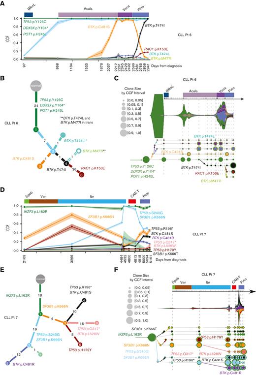 BTK gatekeeper and alternate-site mutation selected during pirtobrutinib therapy for CLL. (A-F) Subclonal structure and clonal evolution of somatic mutations for 2 patients with CLL (CLL Pt 6 and CLL Pt 7) that progressed on pirtobrutinib derived using PhylogicNDT and Concerti. (A,D) Clonal evolution of somatic mutations derived using PhylogicNDT for 2 patients (CLL Pt 6 and CLL Pt 7). Each line represents the CCF distribution dynamics of mutation clusters, generated using the PhylogicNDT Cluster tool, at different time points. Shading represents the 95% confidence interval. (B,E) Phylogenetic tree (built by the PhylogicNDT BuildTree tool) represents the clonal and subclonal architecture. (C,F) Time-scaled Concerti fish plot and tumor evolution tree where width of the fish plot corresponds to absolute lymphocyte counts for the 2 patients (CLL Pt 6 and CLL Pt 7). Clones are sized proportionally to their prevalence and the tree is aligned by sample time point. Subclones are matched in color across the panels for each patient. Speb, spebrutinib; Ven, venetoclax.