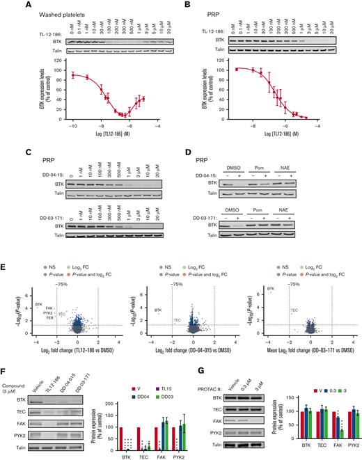 PROTAC-mediated, concentration-dependent degradation of target proteins of interest in human platelets. Washed platelets at 4 × 108/ml (A) or platelets in PRP (B-G) were incubated with the indicated concentrations of PROTACs for 4 h/30°C or 20 h/30°C, respectively. Platelets in PRP were pretreated with DMSO, 50 μM Pom, or 10 μM NAE inhibitor for 4 h/30°C before incubation with 10 μM of DD-04-015 or 3 μM of DD-03-171 for 20 h/30°C (D) Platelets in PRP were subsequently washed in CGS and resuspended in Hepes Tyrodes at 4 × 108/ml (B-G). Washed platelets were lysed in either 4× NuPage sample buffer containing 0.5M DTT and subjected to SDS-PAGE/immunoblotting with the indicated antibodies (A-D, F-G) or lysed in RIPA buffer for TMT proteomics analysis (E). Volcano plots of the TMT protein data show the log2 fold change in protein expression of PROTAC-treated platelets compared to vehicle (DMSO) treated controls against the -Log10 (P-value) from a paired t-test (E). Each dot is representative of 1 protein. The grey dots represent proteins with a P-value > .05; blue indicates proteins with a P-value < .05 that are <75% degraded; red indicates proteins with a P-value < .05 that are >75% degraded. Volcano plots were made using the “EnhancedVolcano” R package. TEC is indicated in grey as it did not pass the analytical software internal threshold for TMT quantification (E). Western blot analysis confirmed the TMT proteomics data (F). The graphs represent quantification of the results using Odyssey Licor software, expressed as percentage of vehicle control ± SEM (A,B,F-G). Curves (A,B) were fitted by non-linear regression using GraphPad Prism 9. The statistical analysis of (F,G) was performed using a repeated measures two-way ANOVA or mixed-effects analysis, ∗P ≤ .05, ∗∗P ≤ .01, ∗∗∗ P ≤ .005, and ∗∗∗∗ P ≤ .001. Shown are representative blots and graphs (n = 3-4; A:3, B:3, C:4, D:3, E:3, F:3, G:4). DMSO, dimethyl sulfoxide; PRP, platelet-rich plasma; Pom, pomalidomide; NAE, NEDD8- activating enzyme.