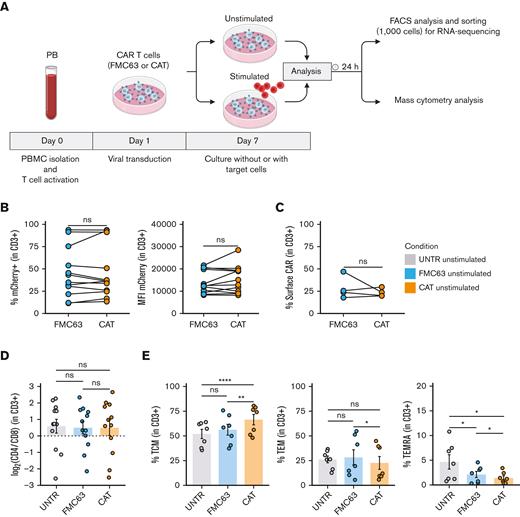 Generation and phenotypic characterization of CAR T cells from HD-PBMCs. (A) Experimental workflow. PBMCs were isolated from HDs and LV transduced to express CD19 CAR construct (FMC63 or CAT) following overnight activation with CD3/CD28 beads. Six days after transduction, CAR T cells were cultured without (unstimulated) or with target cells (NALM6) at a 1:1 ratio (stimulated). Unstimulated and stimulated cells were analyzed by flow cytometry and sorted for RNA-seq 24 hours poststimulation. Mass cytometry analysis was performed on unstimulated and stimulated cells 24 hours poststimulation. Activated UNTR T cells were used as a control throughout the experiment. (B) (Left) spaghetti plots showing transduction levels of CAR T cells as percentage of mCherry+ (in CD3+) and (right) as MFI of mCherry in unstimulated transduced T cells measured by FACS 7 days posttransduction. Lines connect results from individual donors (n = 12 HDs, n = 3 independent experiments). (C) Spaghetti plot showing the percentage of surface CAR expression (in CD3+) in unstimulated transduced T cells measured by FACS 10 days posttransduction. Lines connect results from individual donors (n = 4 HDs, n = 1 independent experiment). (D) Variation (log2 fold change) of CD4 and CD8 proportion in unstimulated UNTR T cells and FMC63 and CAT CAR T cells measured by FACS 7 days posttransduction. The dotted horizontal line (0) represents the conditions in which CD4 = CD8. Data represent mean ± SEM (n = 12 HDs, n = 3 independent experiments). (E) Bar plots showing the percentage of TCM (CD45RA−CD62L+) (left), TEM (CD45RA−CD62L−) (middle), and TEMRA (CD45RA+CD62L−) (right) in unstimulated CD3+ UNTR T cells and FMC63 and CAT CAR T cells measured by FACS 10 days posttransduction. Data represent mean ± SEM (n = 7 HDs, n = 2 independent experiments). (B-E) Statistical significance was calculated by paired t test; ∗P < .05, ∗∗P < .01, and ∗∗∗∗P < .0001. Each experimental condition is indicated by a specific color code (UNTR, light gray; FMC63, light blue; CAT, orange). MFI, mean fluorescent intensity; SEM, standard error of the mean.