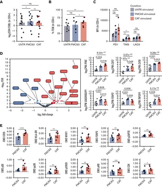Phenotypic and molecular characterization of stimulated CAR-transduced T cells. (A) Variation (log2 fold change) of CD4 and CD8 proportion in stimulated UNTR T cells and FMC63 and CAT CAR T cells measured by FACS (n = 12 HDs, n = 3 independent experiments). The dotted horizontal line (0) represents the conditions in which CD4 = CD8. (B) Bar plot showing the percentage of TCM (CD45RA−CD62L+) in stimulated CD3+ UNTR T cells and FMC63 and CAT CAR T cells measured by FACS 96 hours postantigen stimulation (n = 7 HDs, n = 2 independent experiments). (C) Bar plots showing the expression of T-cell exhaustion markers (PD1, TIM3, and LAG3) as MFI in stimulated CD3+ UNTR T cells and FMC63 and CAT CAR T cells measured by FACS 96 hours postantigen stimulation (n = 4 HDs, n = 1 independent experiment). (D) Volcano plot showing differentially expressed genes between FMC63 and CAT CAR T cells upon NALM6 coculture (left). The dashed horizontal line represents the statistical significance threshold (FDR <0.1). Bar plots showing the expression of selected differentially expressed genes (FDR <0.1) in stimulated UNTR T cells and in CAR T cells (n = 6 HDs, n = 2 independent experiments) (right). (E) Bar plots showing the expression of mass cytometry EMD scores for CD25, HLA-DR, NFAT1, FOXP3, pZAP70, pS6, pp38, pCREB, pRB, and CD4 in stimulated CAR T cells at 24 hours upon stimulation. The data shown are normalized to stimulated CD3+ UNTR T cells. The dotted horizontal line (0) represents the expression of a specific marker in stimulated CD3+ UNTR T cells (n = 7 HDs, n = 2 independent experiments). (A-E) Bar plots show mean ± SEM. Each experimental condition is indicated by a specific color code (UNTR, gray; FMC63, blue; and CAT, red). Panels A-C,E show statistical significance calculated by paired t test; ∗P < .05, ∗∗P < .01, ∗∗∗P < .001, and ∗∗∗∗P < .0001. FDR, false discovery rate; MFI, mean fluorescent intensity; SEM, standard error of the mean.