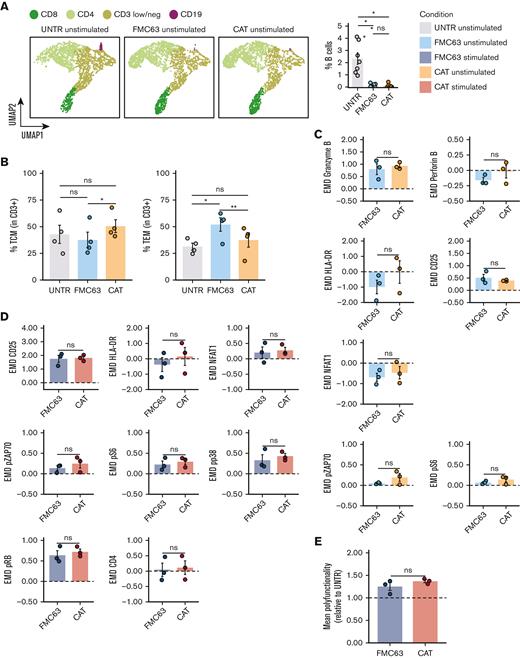 Molecular characterization of CAR T cells generated from CD19-depleted PBMCs. (A) UMAP representation of the 4 cell populations (CD8, CD4, CD3 low/neg, and CD19) identified by FlowSOM analysis in 4 representative unstimulated samples analyzed by mass cytometry at 24 hours poststimulation (left) (n = 4 HDs, n = 1 independent experiment). Cell types are indicated by different colors. Percentage of residual B cells detected by mass cytometry in unstimulated samples at 24 hours poststimulation (right) (n = 7 HDs, n = 2 independent experiments). (B) Bar plots showing the percentage of TCM (CD45RA−CD62L+) (left) and TEM (CD45RA−CD62L−) (right) in unstimulated CD19-depleted CD3+ UNTR T cells and FMC63 and CAT CAR T cells measured by FACS (n = 4 HDs, n = 1 independent experiment). (C) Bar plots showing the expression of mass cytometry EMD scores for granzyme B, perforin B, HLA-DR, CD25, NFAT1, pZAP70, and pS6 in unstimulated CD19-depleted CAR T cells at 24 hours upon stimulation. The data shown are normalized to stimulated CD3+ UNTR T cells. The dotted horizontal line (0) represents the expression of a specific marker in unstimulated CD3+ CD19-depleted UNTR T cells. (n = 3 HDs, n = 1 independent experiment). (D) Bar plots showing the expression of mass cytometry EMD scores for CD25, HLA-DR, NFAT1, pZAP70, pS6, pp38, pRB, and CD4 in stimulated CD19-depleted CAR T cells at 24 hours upon stimulation. The data shown are normalized to stimulated CD3+ UNTR T cells. The dotted horizontal line (0) represents the expression of a specific marker in stimulated CD19-depleted CD3+ UNTR T cells (n = 3 HDs, n = 1 independent experiment). (E) Bar plots showing the mean polyfunctionality in CD19-depleted CAR T cells at 24 hours upon stimulation. The data shown are normalized to stimulated CD3+ UNTR T cells. The dotted horizontal line (1) represents the mean polyfunctionality in stimulated CD3+ CD19-depleted UNTR T cells (n = 3 HDs, n = 1 independent experiment). (A-E) Each experimental condition is indicated by a specific color code (unstimulated conditions: UNTR, light gray; FMC63, light blue; CAT, orange; stimulated conditions: FMC63, blue; CAT, red). Bar plots show mean ± SEM. Statistical significance was calculated by paired t test; ∗P < .05 and ∗∗P < .01. SEM, standard error of the mean.