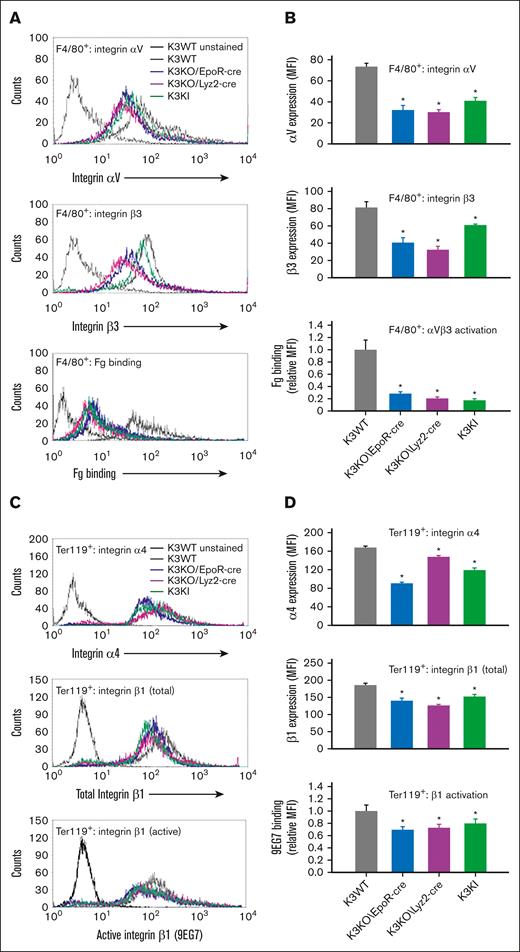 K3 promotes integrin expression and activation on BM EBs and macrophages. (A) Overlays of representative histograms of fluorescence-activated cell sorter analysis of integrin αV (top) and β3 (middle) expression as well as soluble Fg binding (bottom) to the gated F4/80+ macrophage populations from mouse BM. (B) Statistical comparison of data shown in panel A. ∗P < .001; mutant vs K3WT strains; n = 5 mice per strain. (C) Overlays of representative histograms of fluorescence-activated cell sorter analysis of integrin α4 (top), total β1 (middle), and activated β1 (bottom) expression in the gated Ter119+ erythroid cells from mouse BM. (D) Statistical comparison of data shown in panel C. ∗P < .001; mutant vs K3WT strain; n = 5 mice per strain.