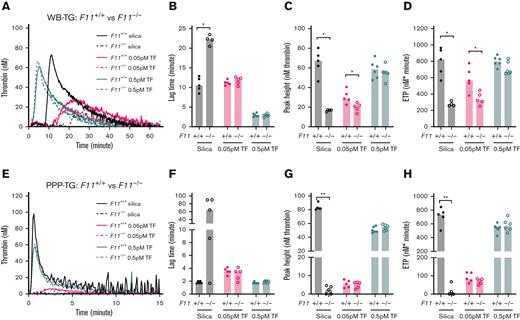 Effect of FXI deficiency on mouse TG in WB and PPP. TG in both WB and PPP of F11+/+ control mice and F11−/− mice were triggered by 120× diluted silica or 0.05/0.5 pM TF and recalcification (4 μM phospholipids were added in PPP). Representative curves of WB- and PPP-TG are shown in (A) and (E), respectively. Bar graphs of lag time (B,F), peak height (C,G), and ETP (D,H) are shown as median (n = 4-6 mice per group). Comparisons between groups were made using the Mann-Whitney test. ∗P < .05; ∗∗P < .01.
