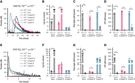 Effect of FIX deficiency on mouse TG in WB and PPP. TG in both WB and PPP of F9+/+ control mice and F9−/− mice were triggered by 120× diluted silica or 0.05/0.5 pM TF and recalcification (4 μM phospholipids were added in PPP). Representative curves of WB- and PPP-TG are shown in (A) and (E), respectively. Bar graphs of lag time (B,F), peak height (C,G), and ETP (D,H) are shown as median (n = 6 mice per group). Comparisons between groups were made using the Mann-Whitney test. ∗P < .05; ∗∗P < .01.