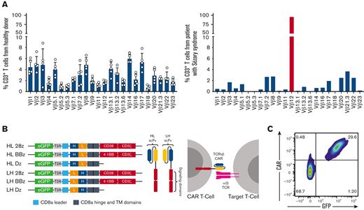 Generation of TCRvβ-CARTs to detect PTCL malignant clones. (A) TCRvβ repertoire of CD3+ T cells from healthy donors (left) or a patient with Sézary syndrome (right), determined by flow cytometry. Each dot represents an individual healthy donor (n = 5). Malignant cells (red) can be identified as a dominant clone in 1 TCRvβ family. (B) Design of second-generation CARs including scFvs derived from the sequences of heavy (H) and light (L) chains of antibodies against TCRvβ families and intracellular signaling domains (Dz) (left). Expression of the CAR on the T-cell surface allows targeting of malignant cells expressing the TCRvβ family (right). (C) Representative plot of expanded normal donor T cells that were transduced with a TCRvβ12-targeting CAR. CAR expression was confirmed by staining with protein L and observing coexpression with the transduction marker, GFP, by flow cytometry.