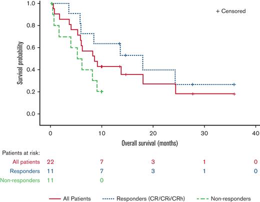 OS in RARA-positive patients summarized by response status. The OS graph includes all RARA-positive patients who enrolled in the study. Responders (CR/CRi/CRh), patients who achieved CR, CRi, or CR with partial hematologic recovery (CRh). Nonresponders, patients who did not achieve CR/CRi or CRh.