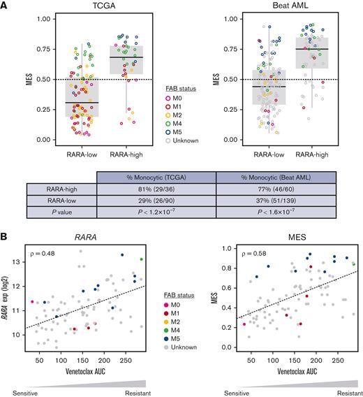 Association among high RARA expression, monocytic features, MES, and ex vivo venetoclax resistance. Colors denote FAB status, gray indicates unknown. (A) High RARA expression (RARA-high) identifies a population of patients with AML that is enriched for high monocytic gene expression (MES, y-axis) in the TCGA and Beat AML databases. P values by Fisher exact test. Monocytic: MES > 0.5. (B) RARA expression (left, y-axis) and MES (right, y-axis) are associated with venetoclax resistance ex vivo, quantified as area under the dose-response curve (AUC, x-axis). Plots show Spearman correlation (ρ) of normalized RARA expression or MES vs venetoclax response across 90 AML primary cultures (Beat AML).17 M0, undifferentiated acute myeloblastic leukemia; M1, acute myeloblastic leukemia with minimal maturation; M2, acute myeloblastic leukemia with maturation; M4, acute myelomonocytic leukemia; M5, acute monocytic leukemia.