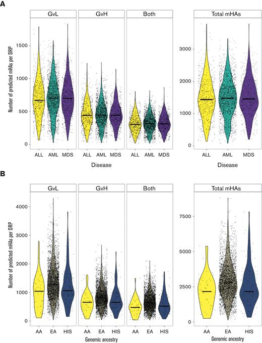Predicted mHAs by disease type and genomic ancestry. (A) Shows the number of each category of predicted mHA per DRP by disease type. “GVL” denotes expression in leukemia cells, “GVH” denotes expression in GVH target organs, and “both” denotes expression in both. (B) Shows the number of each category of predicted mHA per DRP by genomic ancestry, including patients identifying as European American (EA), African American (AA), or Hispanic (HIS).