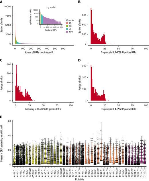 Degree of sharing of predicted mHAs across the study population. (A) Shows the distribution of predicted mHAs by the number of patients in the DISCOVeRY-BMT cohorts that possess them. Most mHAs are shared by ≤10 patients. Inlaid are the same data with y transformed y-axis to highlight the tail of the distribution. Data are colored by quartile of number of patients for each mHA. (B) Shows the distribution of predicted HLA-A∗02:01 mHAs by population frequency in DRPs with HLA-A∗02:01. (C) Shows the distribution of predicted HLA-B∗35:01 mHAs by population frequency in DRPs with HLA-B∗35:01. (D) Shows the distribution of predicted HLA-C∗07:02 mHAs by population frequency in DRPs with HLA-C∗07:02. (E) Shows the percentage of DISCOVeRY-BMT cohort with each HLA allele covered by each predicted GVL mHA that binds that HLA allele, for all HLA alleles representing >0.5% of DISCOVeRY-BMT patients.