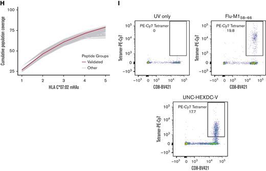 Mass spectrometry validation of predicted GVL mHAs for HLA-A∗02:01, B∗35:01, and C∗07:02. (A) Shows representative spectra for heavy-labeled peptide standard for HLA-C∗07:02–binding mHA LPAAYHHH. (B) Shows endogenous LPAAYHHH peptide identified from immunoprecipitated peptide sample from cell line MONOMAC1. (C) Shows all novel identified peptides from cell line U937A2 sample. “Noncumulative population coverage” shows the percentage of DRPs expressing HLA-A∗02:01 within the DISCOVeRY-BMT data set where the recipient expresses the mHA allele and the donor does not. “Cumulative population coverage” shows the output from the greedy algorithm calculating total population coverage by each peptide and the ones preceding it, with a total of 98.8% population coverage by the 10 peptides. (D) Shows all identified peptides from cell line NB4 sample, with a 60.7% cumulative coverage of DRPs expressing HLA-B∗35:01 within the data set by the 3 peptides. (E) Shows all identified peptides from cell line MONOMAC1, with a 78.9% cumulative coverage of HLA-C∗07:02–expressing DRPs within the data set. (F) Shows cumulative coverage by the 16 novel confirmed HLA-A∗02:01–binding mHAs and 1000 simulated sets of 16 peptides from the set of mHAs searched by mass spectrometry. Cumulative coverage by confirmed peptides is shown in blue, whereas each simulated run is shown as an individual gray line. (G) Shows cumulative coverage for the 3 confirmed HLA-B∗35:01–binding mHAs and 1000 simulated sets of 3 peptides. (H) Shows cumulative coverage for the 5 confirmed HLA-C∗07:02–binding mHAs and 1000 simulated sets of 5 peptides. (I) Shows flow cytometry staining from the mHA immunogenicity experiment. “UV only” shows negative control stained with tetramer exposed to UV light with no peptide. “Flu-M158-66” shows CD8 T cells cocultured with M158-66 pulsed DCs, stained with M158-66 tetramer. “UNC-HEXDC-V” shows CD8 T cells cocultured with novel mHA UNC-HEXDC-V stained with UNC-HEXDC-V tetramer.