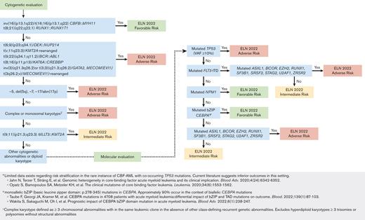 Proposed workflow using hierarchal classification of ELN risk–defining abnormalities. Notably, instances in which a favorable-risk and adverse-risk mutation co-occurred (ie, core binding factor AML with mutated TP53) without clear risk group assignment were infrequent.