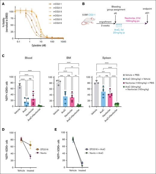 Combinatorial use of BCL-XL inhibitors and cytarabine demonstrates greater reduction of leukemic burden in vivo than single-agent treatment. (A) Dose-response curves and IC50 values (supplemental Table 13) determined for all 6 samples of CG2 AMKL, submitted to a viability assay in presence of cytarabine. (Cell-Titer Glo, 6-day incubation, 4 replicates). Viability readout was normalized to DMSO controls for each sample. (B) Schematic overview of experimental design of combinatory treatments with navitoclax and cytarabine (AraC) of mice that received xenotransplantation. (C) Percentage of leukemic blasts in the peripheral blood (% GFP+hCD45+, left graph), infiltration of the BM (middle graph) and spleen (right graph) was assessed in mice that received transplantation, after 3 weeks of indicated treatments. (D) Percentage infiltration (% GFP+hCD45+) in the BM of mice that received xenotransplantation and that were treated was compared at the end point between matched Vehicle controls and mice either treated with DT2216 or navitoclax (Navito) (E) as well as their respective combinations with cytarabine (AraC).