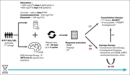 Suggested approach for nelarabine treatment in patients with R/R T-ALL/LBL. ∗Bone marrow biopsy and imaging should be completed in patients with marrow and/or extramedullary involvement, respectively. ara-C, cytarabine; BMB, bone marrow biopsy; LP, lumbar puncture; alloSCT, allogeneic stem cell transplantation.
