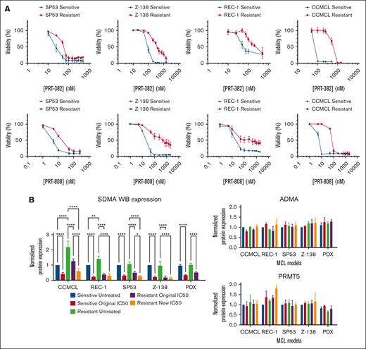 Development of MCL cell line models of PRMT5 inhibitor resistance and shared protein expression signatures across resistant models. (A) Increased IC50s for PRT-382 and PRT-808 of PRMT5 inhibitor resistance resistant (red) vs original sensitive (blue) MCL cell lines in SP53, Z-138, REC-1, and CCMCL. (B) Resistant PDX and cell lines of MCL achieve similar reduction in SDMA at their original and resistant day 9 IC50s and no substantial change in ADMA or PRMT5 after 6 days of drug exposure. Protein levels were normalized to the sensitive untreated condition in each model. ∗ P < .05; ∗∗P < .01; ∗∗∗P < .001; ∗∗∗∗P < .0001.