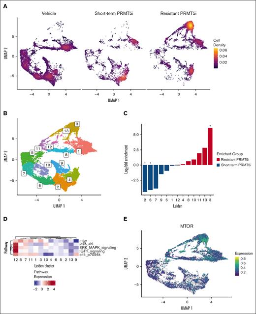 scRNA-seq demonstrates distinct transcriptomic changes with PRMT5 inhibitor resistance in the PDX MCL model. scRNA-seq was performed on PDX MCL splenic lymphocyte samples representing 3 different treatment conditions: (1) VC including parental, short-term, and long-term vehicle treated (n = 3); (2) short-term PRMT5 inhibitor–treated (treated 2 weeks before necropsy; n = 1); and (3) PRMT5-inhibitor–treated resistant (treated until ERC; n = 2). (A) Density UMAP plots demonstrating the transcriptional state change based on the treatment condition (VC, short-term treated, and resistant treated). (B) The Leiden method defines clusters of cells with shared transcriptional profiles independent of sample identity. (C) Differential abundance across Leiden clusters according to treatment status (resistant vs short-term treated). (D) Aggregated expression of indicated pathways according to Leiden cluster. (E) UMAP representation of mTOR differential expression in single cells.