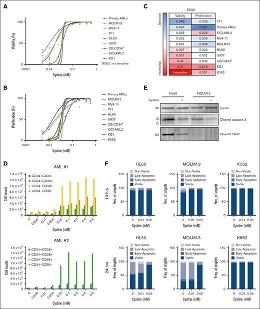 Cystine dependency in AML. (A) AML cell lines, primary AML blasts (n = 4), and healthy cord blood (CB)-derived CD34+ stem/progenitor cells were grown in liquid culture conditions, and the effects on cell viability upon dose-dependent depletion of cystine were determined by flow cytometry with annexin V and propidium iodide (PI). (B) As in panel A, but effects of cell proliferation as determined by viable cell counts is shown. (C) The 50% effective concentration (EC50) values (mM) of experiments shown in panels A and B showing the effective concentration of cysteine at which a 50% reduction in viability or proliferation was achieved. Primary AMLs were measured on day 5, and all other samples on day 3 (n = 2-5 independent experiments performed in triplicate). Cell lines with the highest sensitivity to cystine depletion are marked in blue, and cell lines with the lowest sensitivity are marked in red. (D) Cell counts of CD34+/CD38−, CD34+/CD38+, CD34−/CD38+, and CD34−/CD38− compartments upon cystine depletion. (E) Western blot for the levels of apoptosis markers cleaved poly ADP ribose polymerase and cleaved caspase 3 in HL60 and MOLM13 cells grown in the presence or absence of cystine for 20 hours; β-actin used as loading control. (F) Percent of viable (annexin V negative/PI negative), early apoptotic (annexin V positive/PI negative), late apoptotic (annexin V positive/PI positive), and nonviable (annexin V negative/PI positive) HL60, MOLM13, and K562 cells after 10 hours or 24 hours of growth in the absence of cystine.