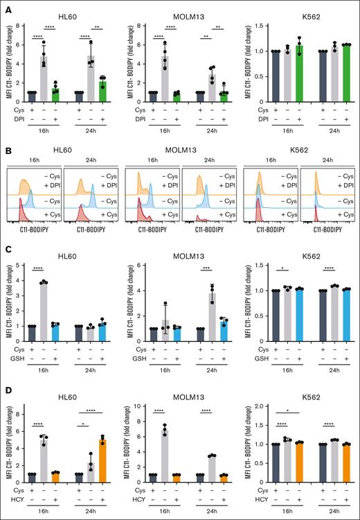 Cystine depletion results in lipid peroxidation. (A) Lipid peroxidation was quantified by C11-BODIPY staining upon 16 or 24 hours of cystine depletion or after 16 or 24 hours of cystine depletion but in the presence of 0.5 μM DPI; both normalized to the control condition in which cystine was present. The mean fluorescence intensity (MFI) fold change of oxidized C11-BODIPY is shown. (B) Representative histogram plots of data shown in panel A. (C) Lipid peroxidation was quantified by C11-BODIPY staining upon 16 or 24 hours of cystine depletion but in the presence of 1.0 mM GSH; both normalized to the control condition in which cystine was present. The MFI fold change of oxidized C11-BODIPY is shown. (D) Lipid peroxidation was quantified by C11-BODIPY staining upon 16 or 24 hours of cystine depletion but in the presence of 0.5 mM HCY; both normalized to the control condition in which cystine was present. The MFI fold change of oxidized C11-BODIPY is shown.