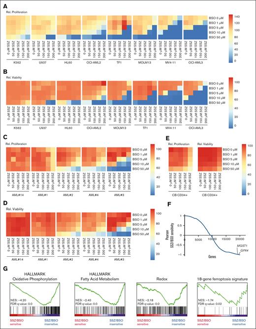 Inhibition of γ-glutamylcysteine synthetase boosts the cytotoxic effects of xCT inhibition. (A) Heat maps showing the relative cell counts at day 3 of a panel of AML cell lines grown in a concentration range of the xCT inhibitor SSZ in combination with a concentration range of the inhibitor of γ-glutamylcysteine synthetase, BSO. (B) Experiment as in panel A, but effects on viability are shown. (C) Heat maps showing the relative cell counts at day 3 of 5 primary AML samples grown in a range of concentrations of the xCT inhibitor SSZ in combination with a range of concentrations of the inhibitor of γ-glutamylcysteine synthetase, BSO. (D) Experiment as in panel C, but effects on viability are shown. (E) Heat maps showing the relative cell counts and relative viability at day 3 of CB-derived CD34+ cells grown in a range of concentrations of the xCT inhibitor SSZ in combination with a range of concentrations of the inhibitor of γ-glutamylcysteine synthetase, BSO. (F) Correlation curve between RNA sequencing data from AMLs in panels C and D and SSZ/BSO sensitivity. GPX4 and MGST1 expression correlated with insensitivity to SSZ/BSO. (G) Gene set enrichment analysis (GSEA) using the Pearson correlations depicted in panel E. Statistical analysis by ordinary 1-way ANOVA; ∗P < .05, ∗∗P < .01, ∗∗∗P < .001, ∗∗∗∗P <.0001. FDR, false discovery rate; NES, normalized enrichment score; Rel., relative.