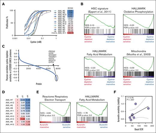 AMLs enriched for fatty acid metabolism and OXPHOS processes are less sensitive to cystine depletion but do depend on thioredoxin reductase activity for ROS detoxification. (A) Primary AML blasts (n = 13) were grown in liquid culture conditions, and the effects on cell proliferation upon dose-dependent depletion of cystine were determined, including EC50 values (mM) showing the effective concentration of cysteine at which a 50% reduction in proliferation was achieved. (B-C) For 10 AMLs shown in panel A, a full label-free quantitative proteome data set was available, and Pearson correlation coefficients between EC50 values and protein expression were calculated (C) and used for GSEA (B). (D) Drug screen using auranofin (0.1-0.4 μM) on a panel of primary AML samples. Relative viable cell counts at day 1 and day 4 are shown. (E) Pearson correlation coefficients were calculated between auranofin sensitivity and protein expression, and used for GSEA. (F) For 7 AMLs shown in panel D, basal oxygen consumption rates (OCR) were determined by Seahorse assay, and a correlation curve between OCR and auranofin sensitivity is shown. FDR, false discovery rate; HSC, hematopoietic stem cell; LFQ2020 UMCG, proteome label-free quantification set 2020 University Medical Centre Groningen; NES, normalized enrichment score.