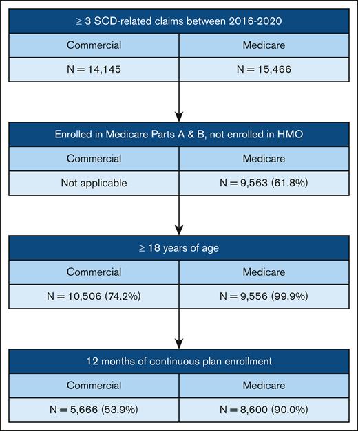 Study population selection. HMO, Health Maintenance Organization.