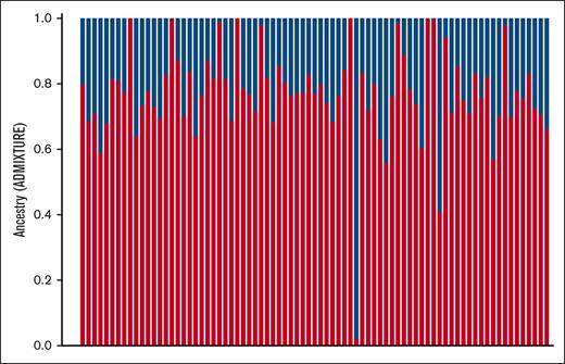 Estimated ancestry components of SCDIC samples using ADMIXTURE. The P1 component (red bars) is hypothesized to be the African component (average 77%), and the P2 component (blue bars) is hypothesized to be the European component (average 23%).