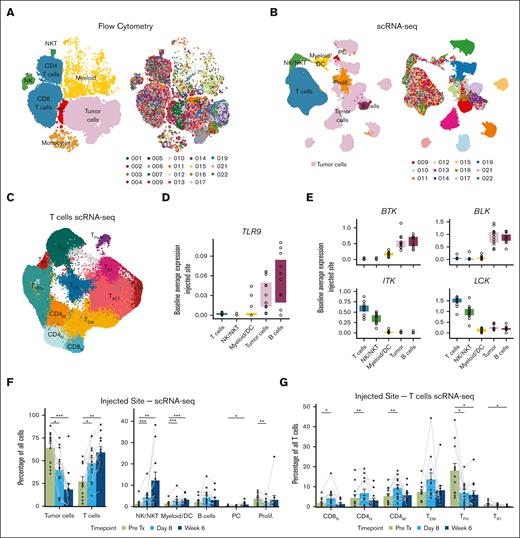ISV reshapes the composition of the tumor microenvironment. (A-B) Uniform manifold approximation and projections (UMAPs) of flow cytometry (A) or scRNA-seq (B) data from all tumor samples, colored by cell type (left) or patient (right). Note: patient colors are consistent throughout the article. (C) Reclustering of T-cells from the scRNA-seq data set. Clusters are denoted by color and labeled according to assigned phenotype. (D-E) Baseline gene expression of TLR9 (D) and selected ibrutinib targets (E) for each patient for indicated cell populations. (F) Relative abundance of indicated cell types in the scRNA-seq data set at the injected site in the pretreatment and on-treatment samples. (G) Relative abundance of selected T-cell subpopulations in the scRNA-seq data at the injected tumor site, pretreatment, and on treatment. P values were calculated by paired 2-sided Wilcoxon rank-sum tests for pretreatment (Pre Tx) vs on treatment (Day 8 or Week 6): ∗P < .05; ∗∗P < .01; ∗∗∗P < .001; ∗∗∗∗P < .0001. P values are only shown if P ≤ .05. DC, dendritic cell; PC, plasma cell.