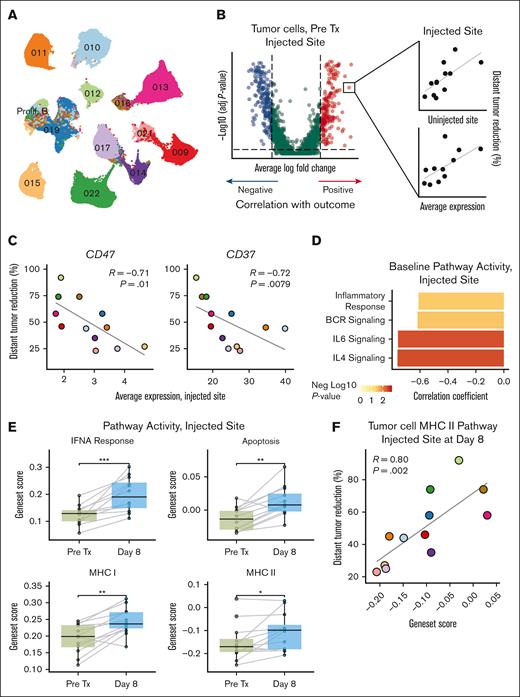Tumor cell phenotypes predict response to treatment. (A) UMAP of reclustered tumor cells from the scRNA-seq data set. (B) Strategy used to identify baseline biomarkers. Genes differentially expressed between tumor cells from patients with higher (n = 6) vs lower (n = 6) distant response at the injected tumor site were selected. Genes whose patient-level averages at both sites correlated with outcome were further evaluated. (C) Correlation between CD47 (left) and CD37 (right) expression in tumor cells at baseline and percentage distant tumor reduction at the injected tumor site. See supplemental Figure 5B for uninjected site data. (D) Bar plot of correlation coefficients between selected pathways at baseline and percentage distant tumor reduction. Bars are colored by negative log10 of the P value. See supplemental Figure 5C for uninjected site data. (E) Comparison of pretreatment (pre Tx) and on-treatment (day 8) scores for the indicated gene sets at the injected tumor site. (F) Tumor cell MHCII gene set score on day 8 at the injected site correlates with percentage distant tumor reduction. Correlations in (C), (D), and (F) were assessed using the Spearman test. P values in (E) were calculated using 2-sided paired Wilcoxon rank-sum tests: ∗P < .05; ∗∗P < .01; ∗∗∗P < .001; ∗∗∗∗P < .0001. P values are only shown if P ≤ .05. BCR, B-cell receptor; FC, fold change; MHC I, antigen presentation via MHCI; MHC II, antigen presentation via MHCII. UMAP colors in (A) and data point colors in (C) and (F) correspond to individual patients as in (A) and in Figure 2(A-B).