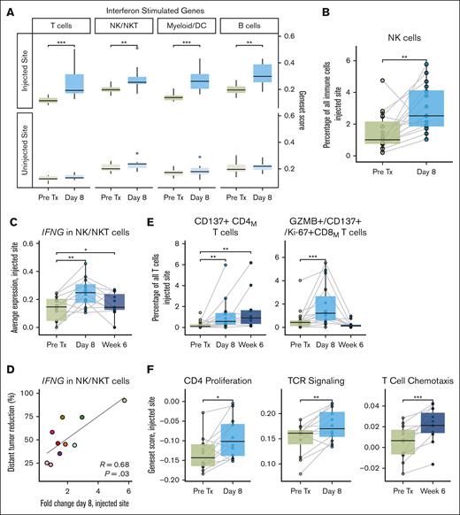 ISV induces interferon responses, antigen presentation and effector cell activation. (A) Comparing gene set scores for interferon-stimulated genes between pretreatment (pre Tx) and on-treatment (day 8) timepoints for the injected and uninjected tumor sites, averaged per sample per patient. (B) NK cell abundance by flow cytometry at the injected tumor site. (C) IFNG expression at the injected tumor site in NK/NKT cells across timepoints. (D) Fold change in NK/NKT expression of IFNG at day 8 at the injected site vs percentage distant tumor reduction. Dots are colored by patient, as in Figure 2B. (E) Treatment-induced changed in activated CD137+ memory CD4 T-cells (right) and CD137+/granzyme B–positive memory CD8 T-cells (left) at the injected tumor site, measured by flow cytometry. (F) Changes in indicated pathways in T-cells across patients during therapy at the injected tumor site. P values were calculated by 2-sided Wilcoxon rank-sum tests for paired samples: ∗P < .05; ∗∗P < .01; ∗∗∗P < .001; ∗∗∗∗P < .0001. P values are only shown if P ≤ .05.