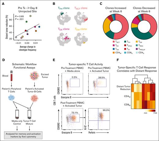TCR clonotype expansion and tumor-specific T-cell responses are induced during therapy. (A) Scatterplot relating average change in frequency of multiplet TCR clones from pretreatment (pre Tx) to day 8 (both sites combined) to percentage distant tumor reduction. (B) Examples of 4 TCR clonotypes and the location of cells with those clonotypes in the T-cell UMAP. (C) Phenotype distribution of TCR clones that increased by week 6 after treatment (left) and those that decreased by week 6 (right). (D) Schematic workflow of experimental in vitro immune response assay. T-cell reactivity against tumors were measured before treatment and on treatment (weeks 1, 3, 6, and 12). (E) Representative flow cytometry plots measuring autologous tumor-reactive granzyme B–positive memory (CD45RO+) CD8 T-cells under the indicated conditions. Most granzyme B–positive/CD45RO+ CD8M T-cells were also Ki-67-positive and perforin-positive (mean, 67%; range, 2.3%-96%). (F) Unsupervised clustering of patients by percentage distant tumor reduction and percentage change in tumor-reactive activated memory CD4 and CD8 T-cells at week 3. PBMC, peripheral blood mononuclear cells. max, maximum; min, minimum.